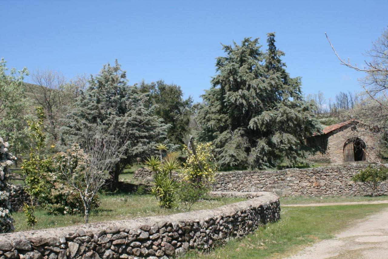 Casa Rural Los Robles Acebo Exterior foto